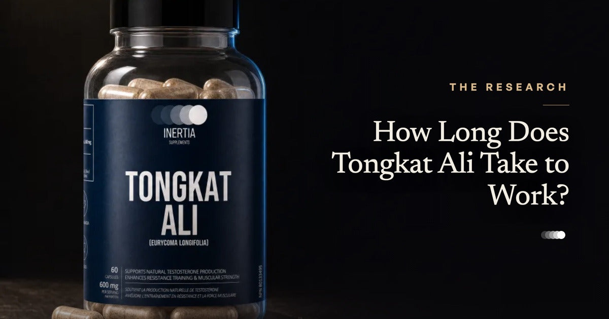 Inertia Supplements Tongkat Ali: how long it takes to work